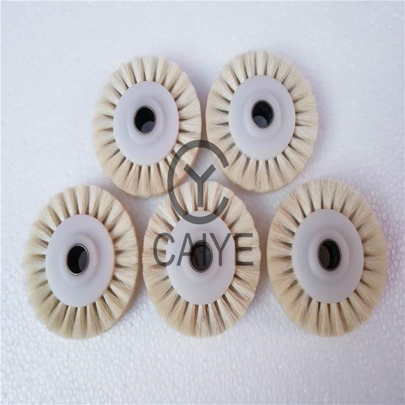 5Pieces 60x10x16mm Brush Wheel - Commercial Offset Printing ulasan dan harga