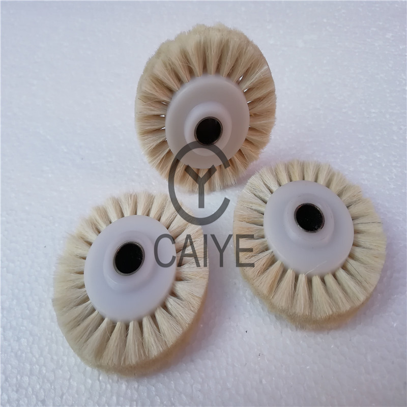 5Pieces 60x10x16mm Brush Wheel - Commercial Offset Printing ulasan dan harga