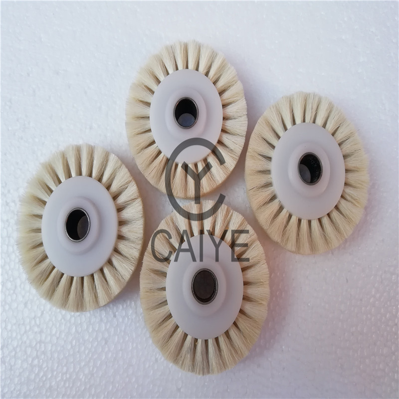 5Pieces 60x10x16mm Brush Wheel - Commercial Offset Printing ulasan dan harga